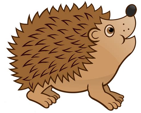 Bilder Igel PNG Transparent Bilder Igel.PNG Images. | PlusPNG