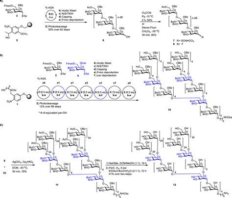 Total Synthesis of Polysaccharides by Automated Glycan Assembly ...