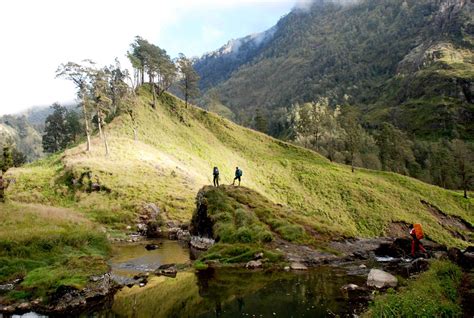 Jalur Pendakian Gunung Rinjani Resmi Dan Banyak Dipilih Pendaki | Pengetahuan Wisata Gunung ...