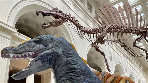 Field Museum's Spinosaurus receives name after public vote