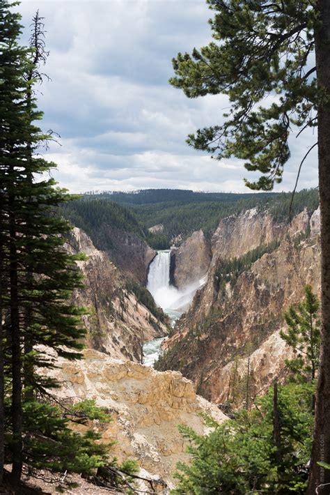 Yellowstone NP: Hiking at Yellowstone Grand Canyon - Fish and Feathers ...