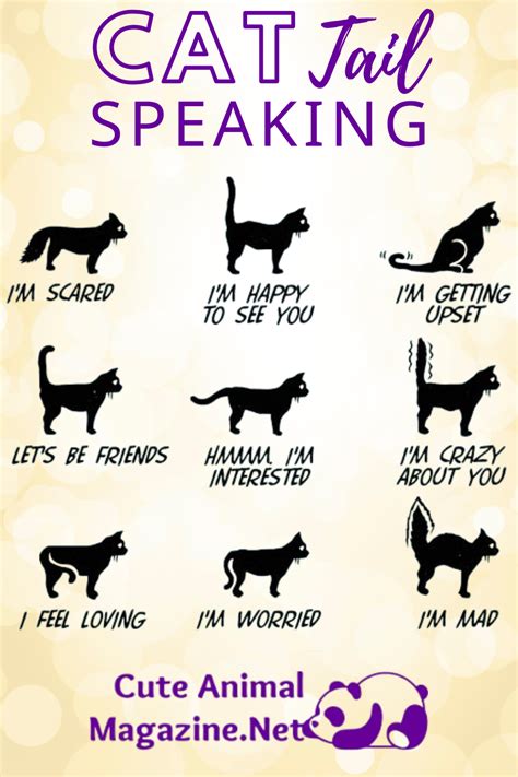 Cat Tail Language Chart