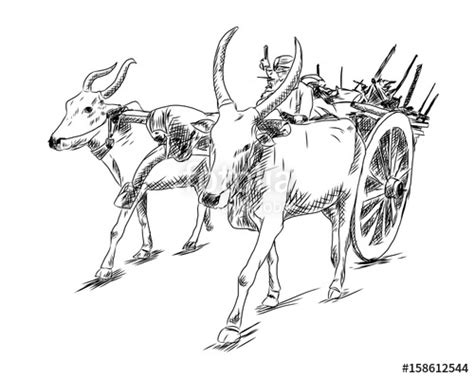 40+ Best Collections Easy Bullock Cart Drawing For Kids - Sarah Sidney ...