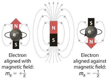 8.4: An Electron has an Intrinsic Spin Angular Momentum - Chemistry ...