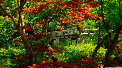 Japan Gardens Wallpapers - Top Free Japan Gardens Backgrounds - WallpaperAccess