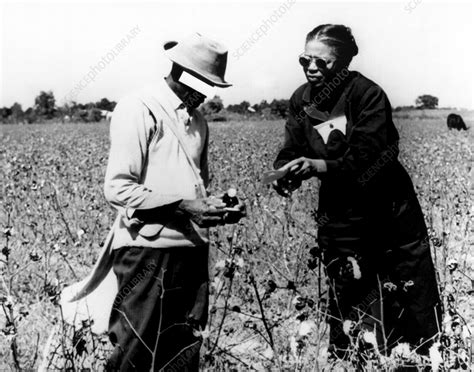 Tuskegee Syphilis Study - Stock Image - C057/5425 - Science Photo Library