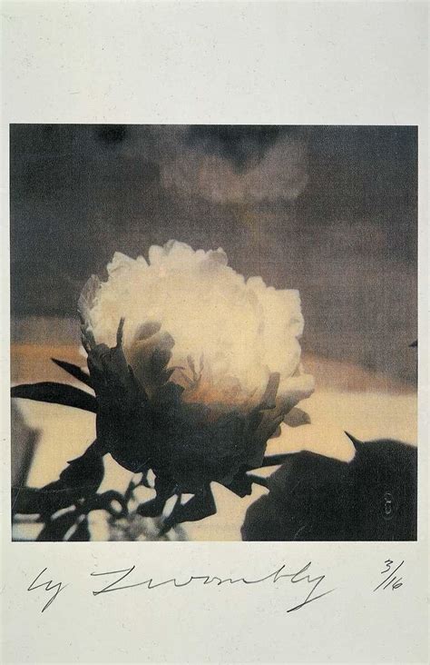 cy-twombly-photographs-1 | tomorrow started