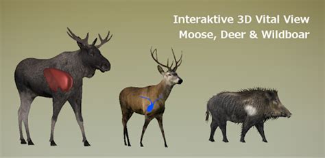 Moose Vitals Diagram - Wiring Diagram Pictures