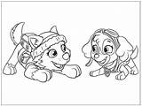 Everest And Skye Paw Patrol coloring Page  Download Print Or Color sketch template