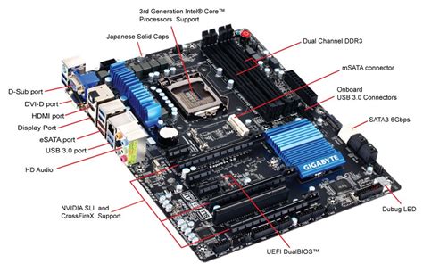 Motherboard Diagram With Labels