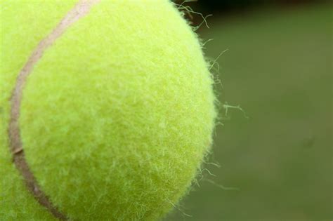 The ephemeral tennis ball: Addressing sustainability in sports