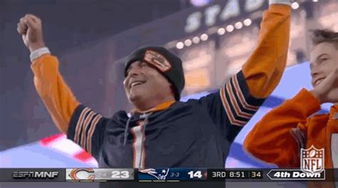 Bears-fans GIFs - Get the best GIF on GIPHY