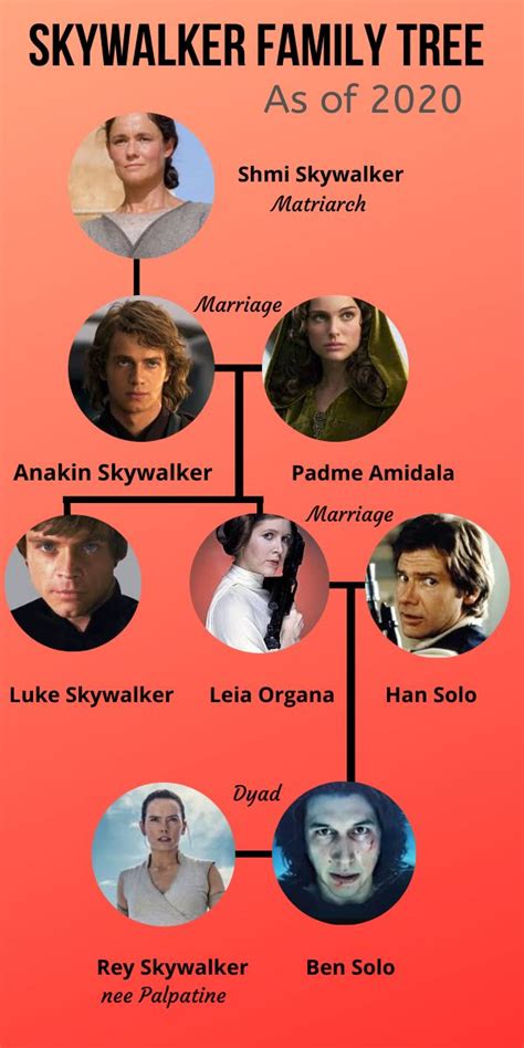 Skywalker Family Tree Skywalker Family Tree Star Wars - vrogue.co