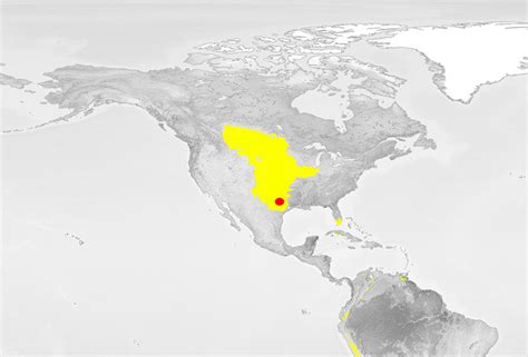 Temperate Grassland Map