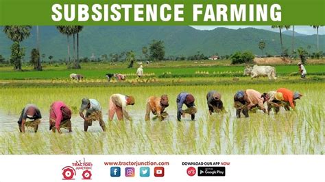 Subsistence Farming Definition Class 10 - EduForKid