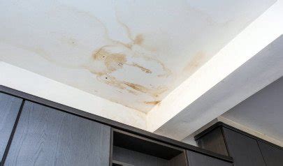 The Common Causes of Ceiling Water Damage | AdvantaClean