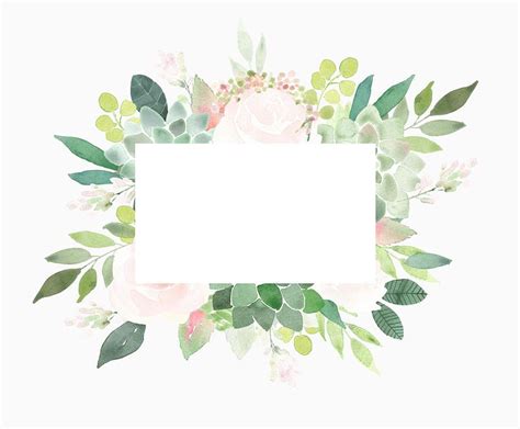 Succulent clipart border, Succulent border Transparent FREE for ...