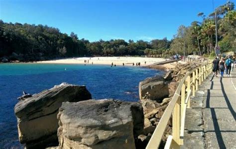 Manly to Shelly Beach Walk - Sydney Beach Lovers Group | InterNations