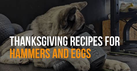 Thanksgiving Leftovers Dog Treat Recipes – Fenrir Canine Leaders