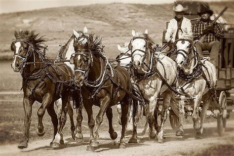 117 best images about Stagecoach on Pinterest | The old, Museums and ...