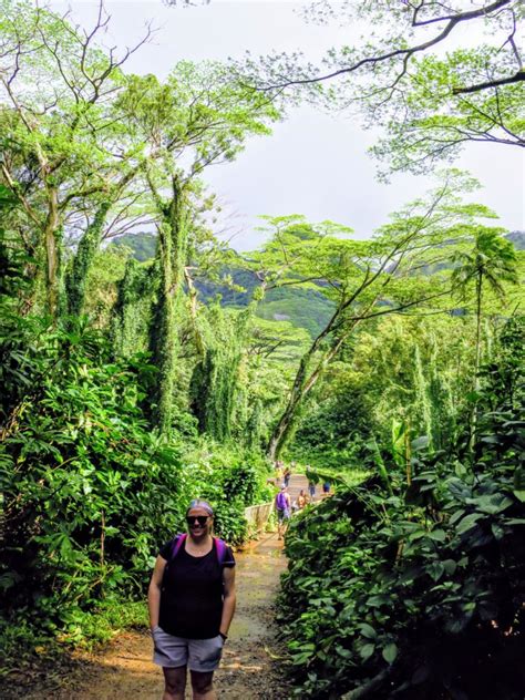 'Lost in Jurassic Park' or 'That Time I Hiked To Manoa Falls' - Out Of Her Comfort Zone