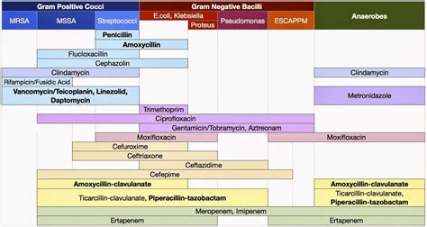 Antibiotic, Antibiotics pharmacology, Dental insurance plans