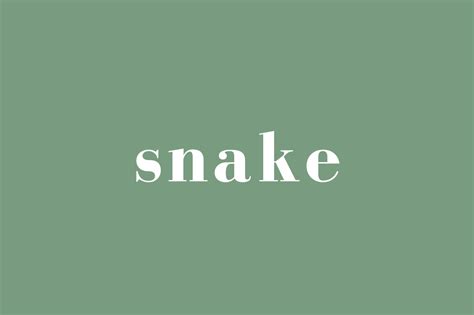 Names That Mean Snake: An Insider Guide to Serpent-Inspired Monikers - Baby Name Nest