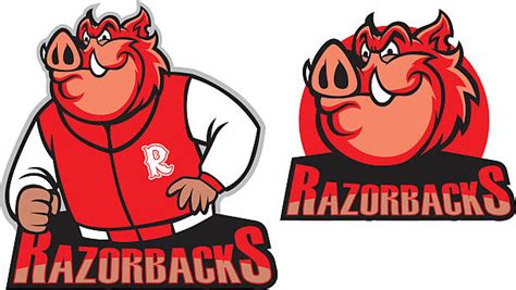 Top 60 Razorback Hog Clip Art, Vector Graphics and Illustrations - iStock