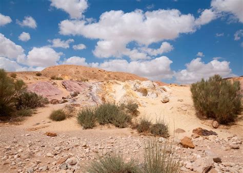 Visit Negev Desert on a trip to Israel | Audley Travel UK