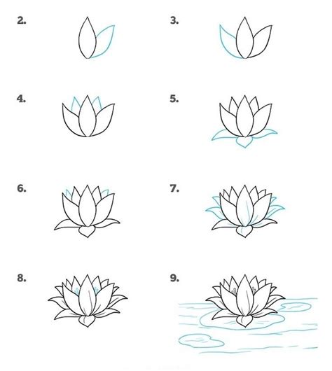 How To Draw Step By Step Easy Flowers : How to draw a water lily and pad.