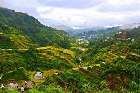 Ifugao: Banaue Rice Terraces