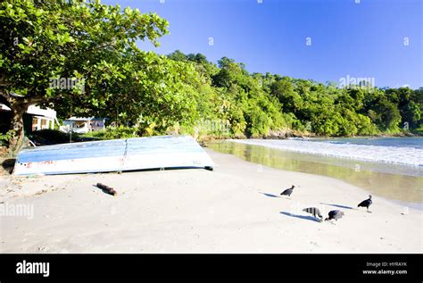 Maracas Bay, Trinidad Stock Photo - Alamy