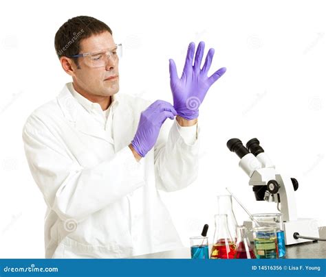 Scientist Puts on Gloves stock photo. Image of experiment - 14516356