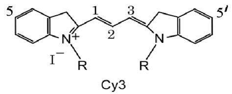 Symmetric hydrocarbon chemical structure of the Cy3 dye, Indole with ...