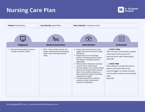 Nursing Care Plan Template Template - Venngage