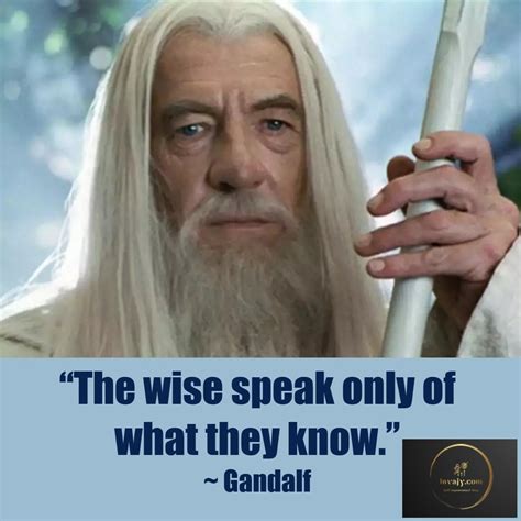 90 Lord of the Rings Quotes to Inspire You Live a Epic Life