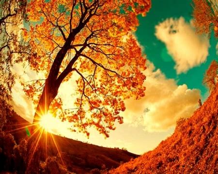 Fall Sunshine Pictures, Photos, and Images for Facebook, Tumblr, Pinterest, and Twitter