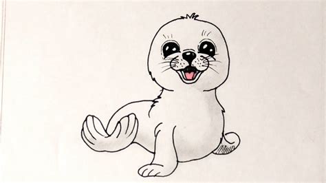 How to Draw a Baby Seal Cute Easy - YouTube