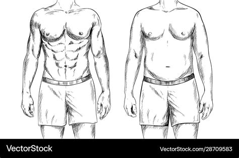 Two men bodies fit and fat ink sketch Royalty Free Vector