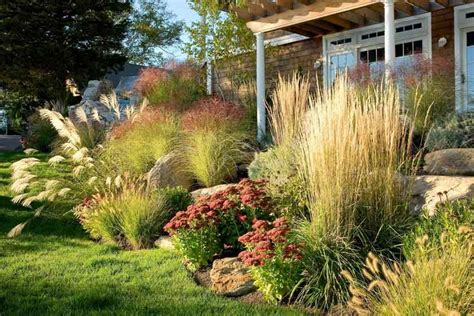 a garden with lots of plants and rocks in front of a house on a sunny day