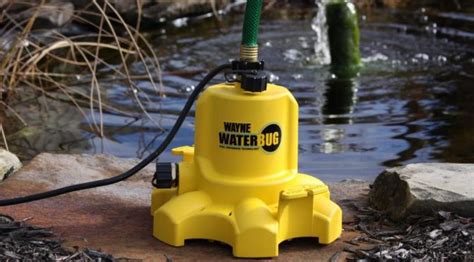 Wayne WWB WaterBug Submersible Utility Pump Review - Pump That Sump