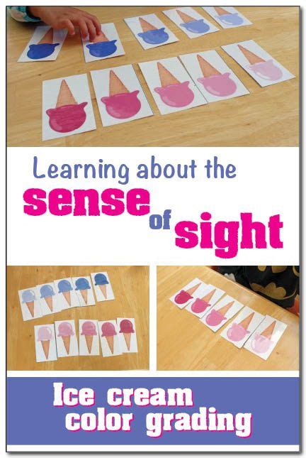 Sense of sight activity for kids: Learn about the sense of sight with books and a free printable ...