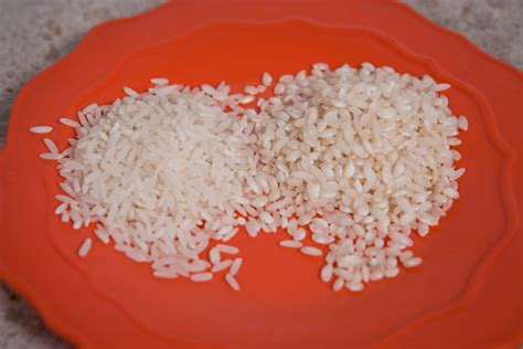 Arborio rice | Bakepedia - Baking Encyclopedia