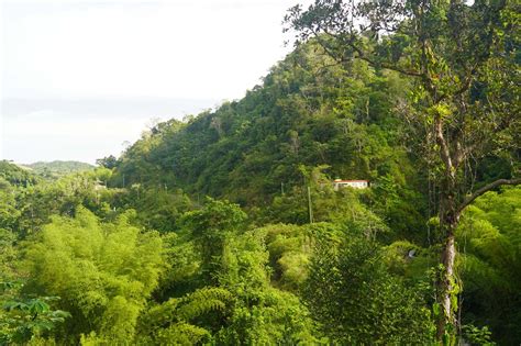 Salto Curet - An Off-The-Beaten-Path Waterfall Near Maricao