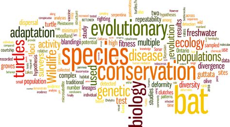 Download Conservation Biology, Molecular Ecology And Population - Words PNG Image with No ...