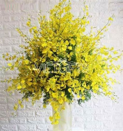 Tet Flowers 25