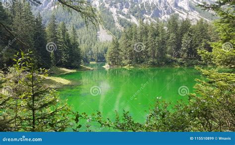 Amazing Green Lake in Austria Stock Image - Image of travel, landscape ...