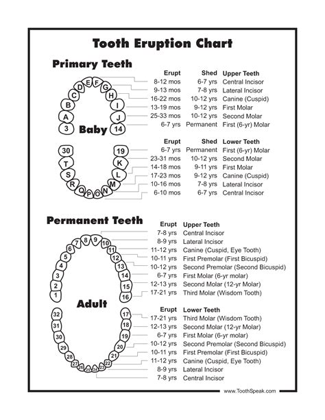 Printable Tooth Color Chart