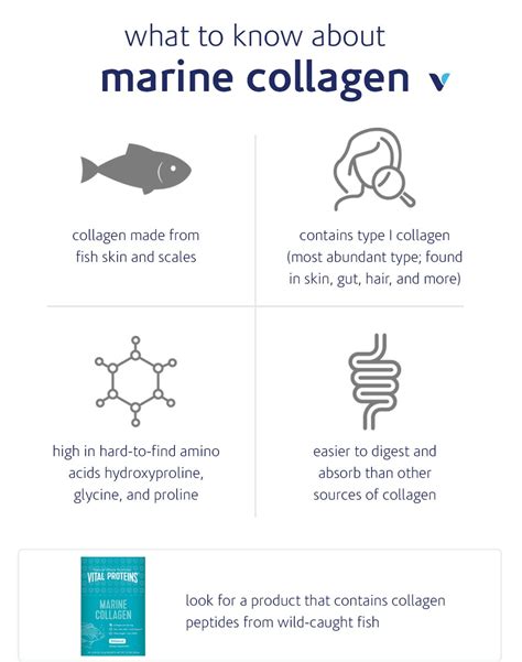 Should You Try Marine Collagen? | What's Good by V