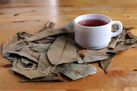 Check out These Kratom Tea Recipes - Wake Up Roma!